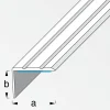 Abschlussprofil aluminiumfarben 2000 x 25 x 8 mm