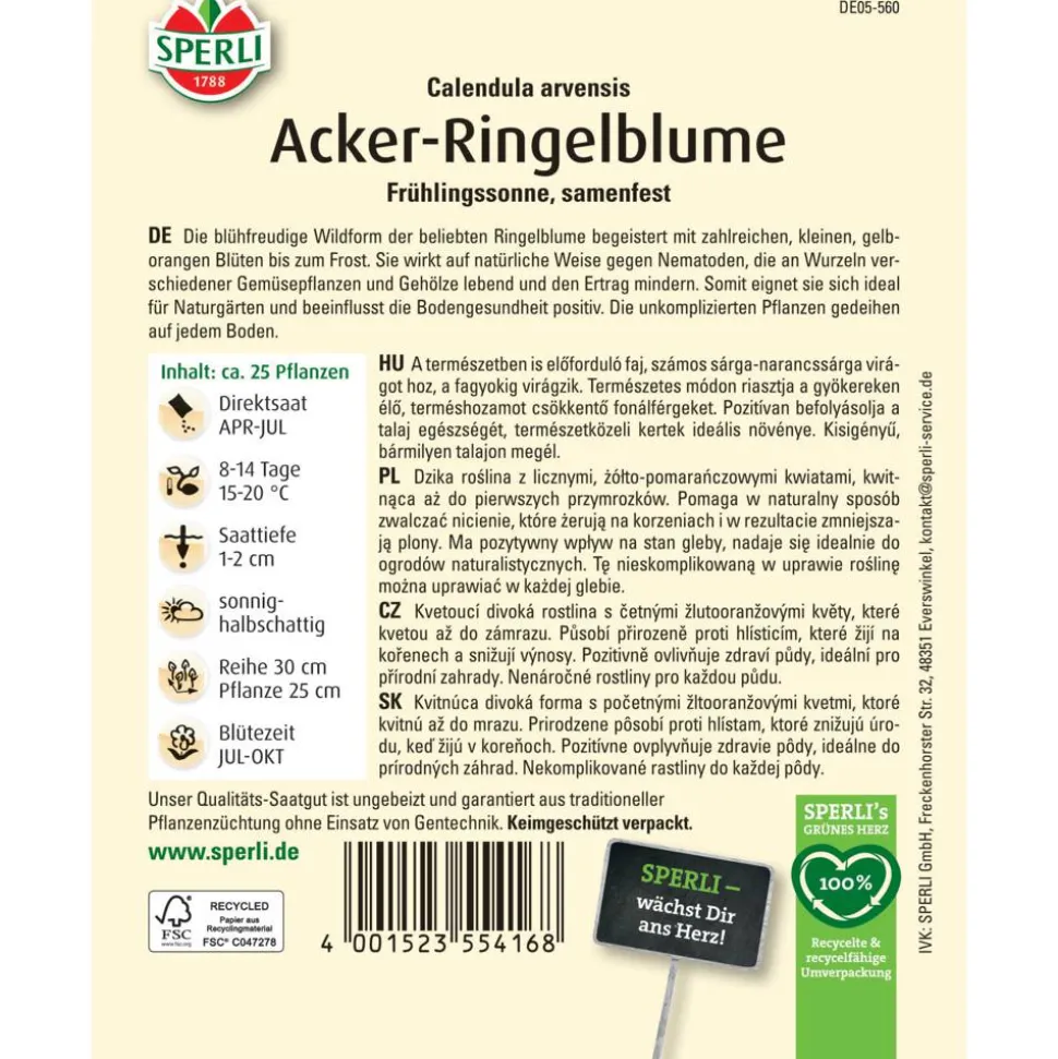 Acker-Ringelblume 'Frühlingssonne'