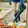 Akku-Laubbläser 'AdvancedLeafBlower 36 V-750' ohne Akku und Ladegerät