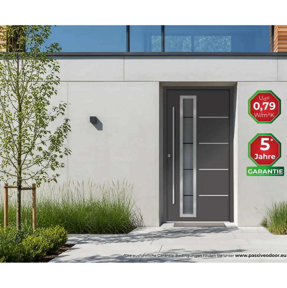Alu-Stahlhaustür 'B06' anthrazit links 100 x 210 cm