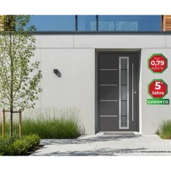 Alu-Stahlhaustür 'B06' anthrazit rechts 110 x 210 cm