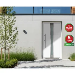 Alu-Stahlhaustür 'B01' weiß links 110 x 210 cm