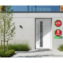 Alu-Stahlhaustür 'B06' weiß links 100 x 210 cm