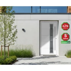 Alu-Stahlhaustür 'B06' weiß rechts 100 x 210 cm