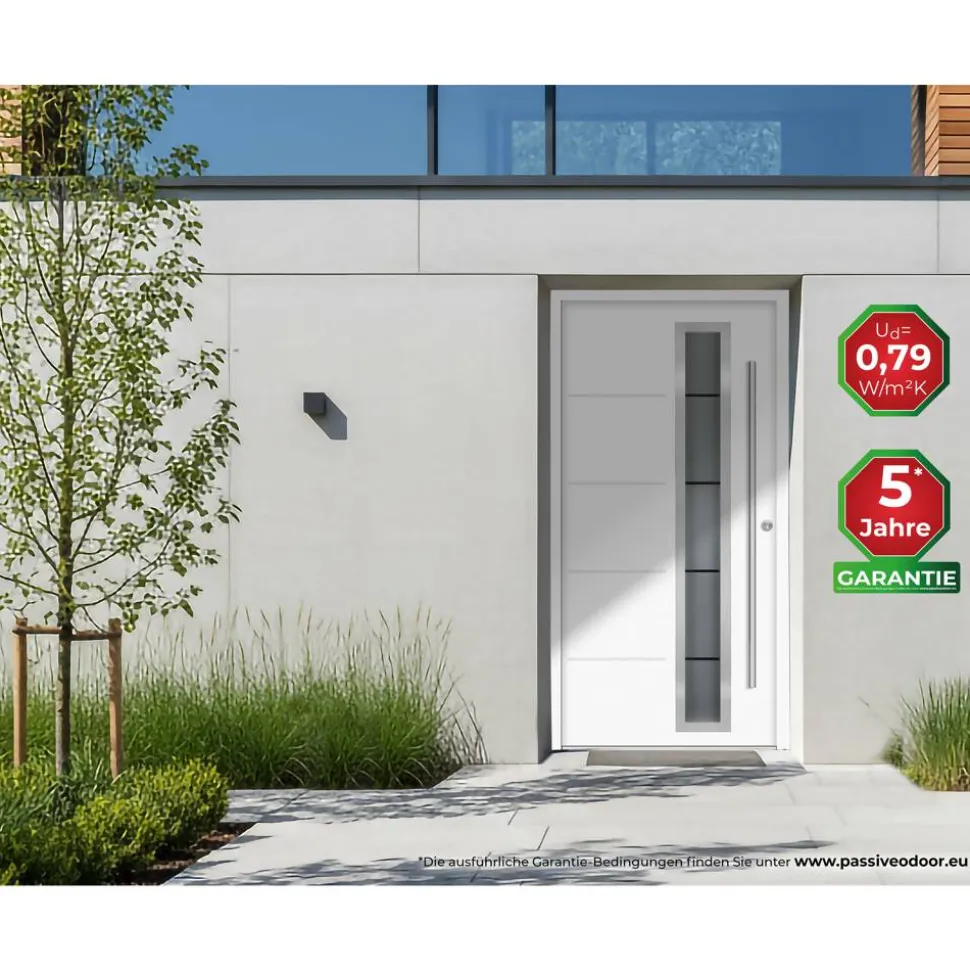 Alu-Stahlhaustür 'B06' weiß rechts 100 x 210 cm