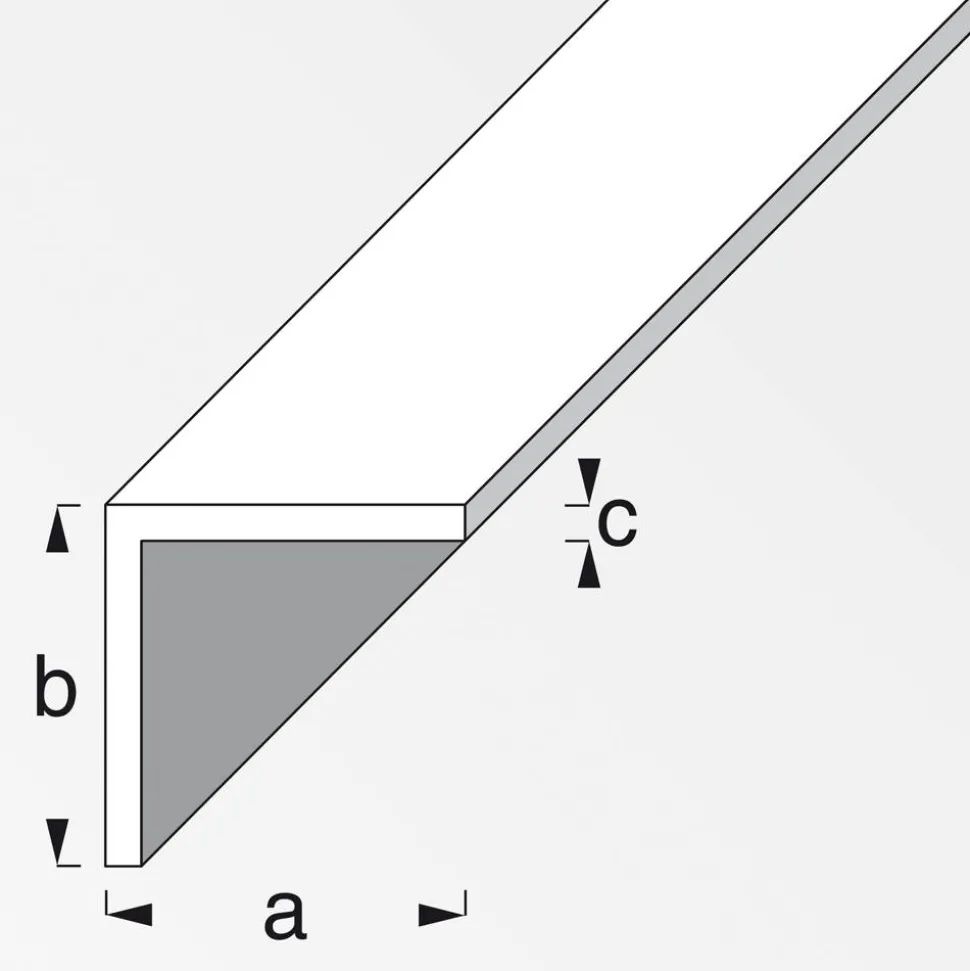 Aluwinkel 100 x 2 x 2 cm