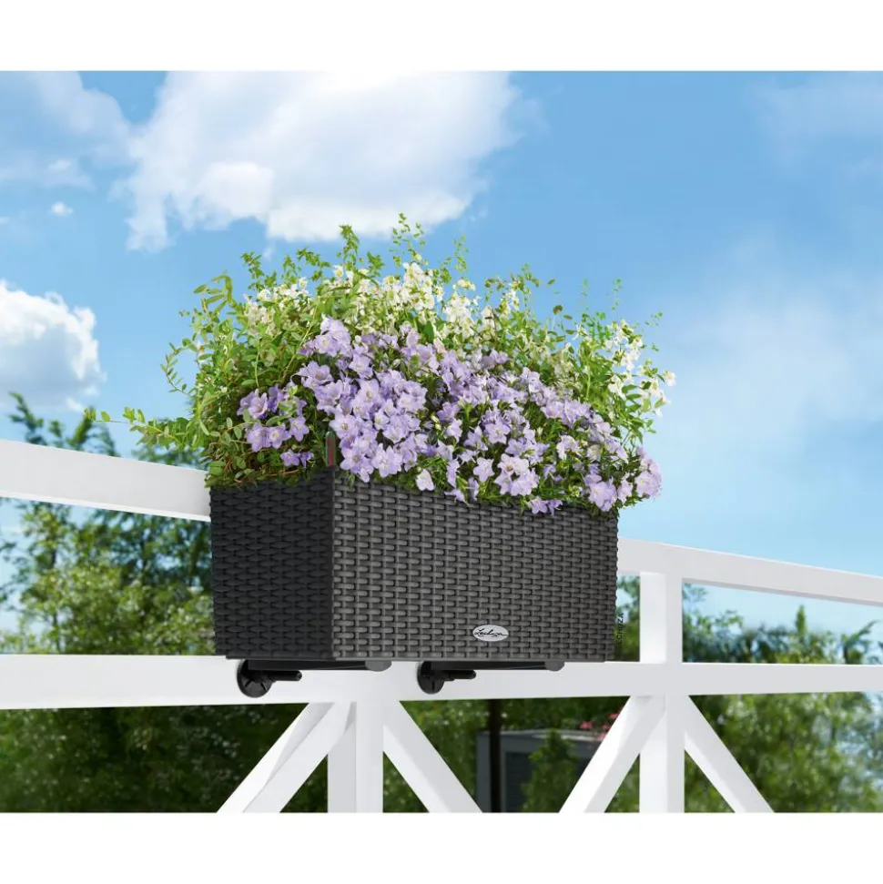 Balkonkasten 'BALCONERA Cottage 50' Kunststoff granitfarben 50 x 19 x 19 cm