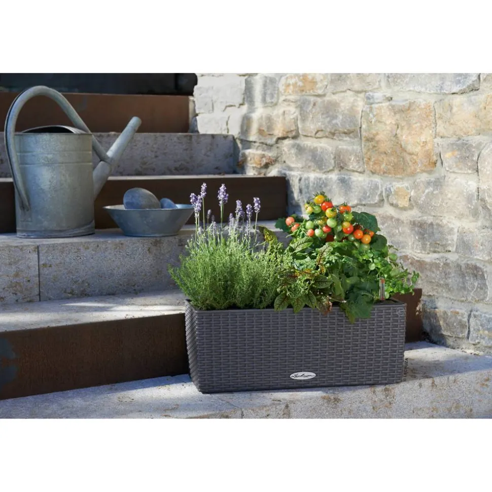 Balkonkasten 'BALCONERA Cottage 50' Kunststoff granitfarben 50 x 19 x 19 cm