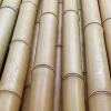 Bambusstab 120 cm 10 Stück