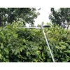 Benzin-Multifunktionswerkzeug 'GC-MM 52 I AS' 1500 W
