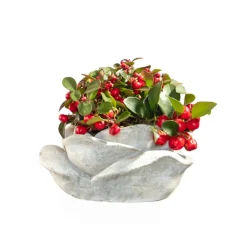 Bepflanzte Grabschale Kunststoff 20 cm Topf