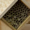 Bienenhotel 'Raute'