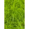 Bio Stauden-Set 'Schattengarten' 12 Pflanzen für 2 m²