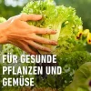 Bio-Hochbeet Dünger mit Schafwolle 750g