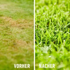 BIO-Rasendünger 3 kg für 75 m²