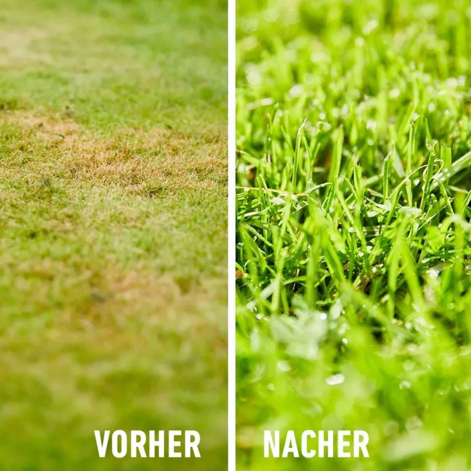 BIO-Rasendünger 3 kg für 75 m²