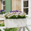 Blumenkasten 'BALCONERA Cottage 50' Kunststoff weiß 50 x 19 x 19 cm