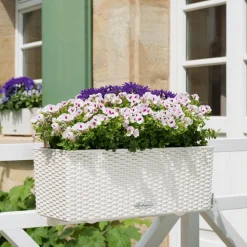 Blumenkasten 'BALCONERA Cottage 50' Kunststoff weiß 50 x 19 x 19 cm