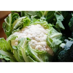 Blumenkohl 6er-Schale