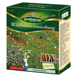 Blumenmischung 'Wildblumen'