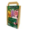 Blumenzwiebeln Mix, 45 Zwiebeln