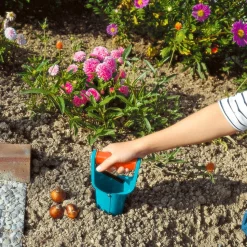 Blumenzwiebelpflanzer
