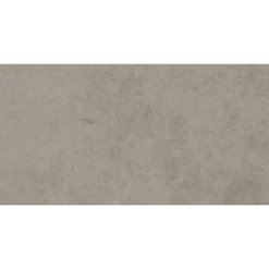 Bodenfliese 'Base' Feinsteinzeug grau 29,8 x 59,8 x 0,8 cm