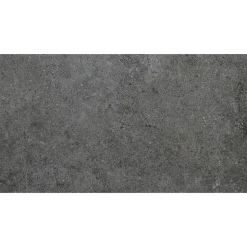 Bodenfliese 'Fancy' Feinsteinzeug 30,5 x 61 cm dark R10/B