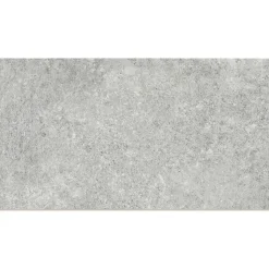 Bodenfliese 'Fancy' Feinsteinzeug 30,5 x 61 cm grau R10/B