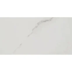 Bodenfliese 'Fontana' Feinsteinzeug weiß glänzend 30 x 60 cm