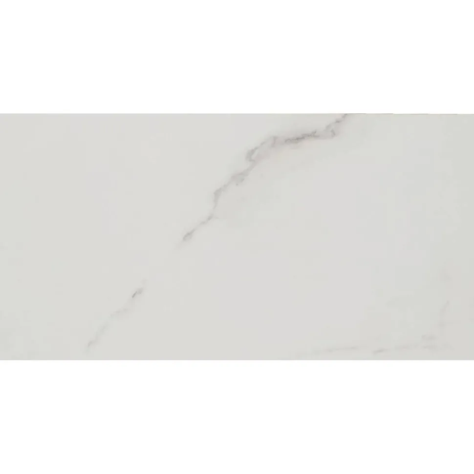 Bodenfliese 'Fontana' Feinsteinzeug weiß glänzend 30 x 60 cm