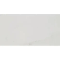 Bodenfliese 'Fontana' Feinsteinzeug weiß glänzend 30 x 60 cm