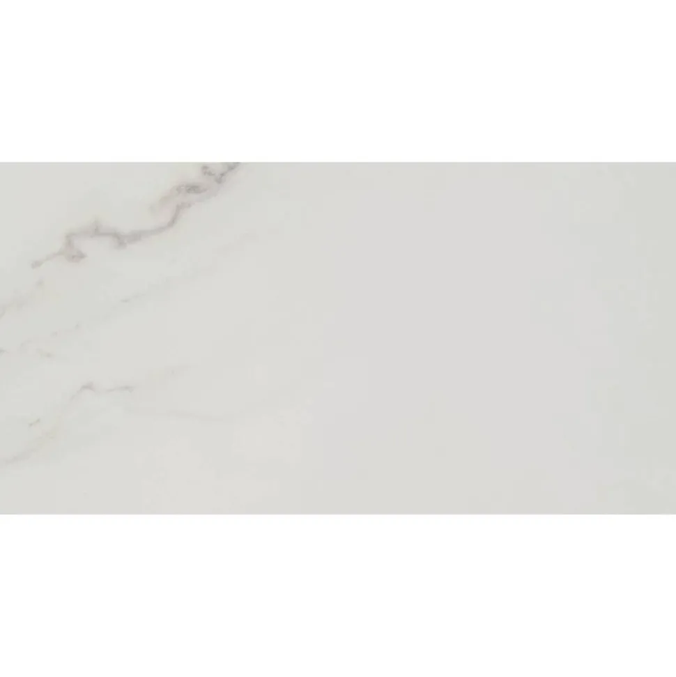 Bodenfliese 'Fontana' Feinsteinzeug weiß glänzend 30 x 60 cm