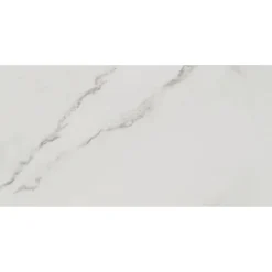 Bodenfliese 'Fontana' Feinsteinzeug weiß glänzend 30 x 60 cm