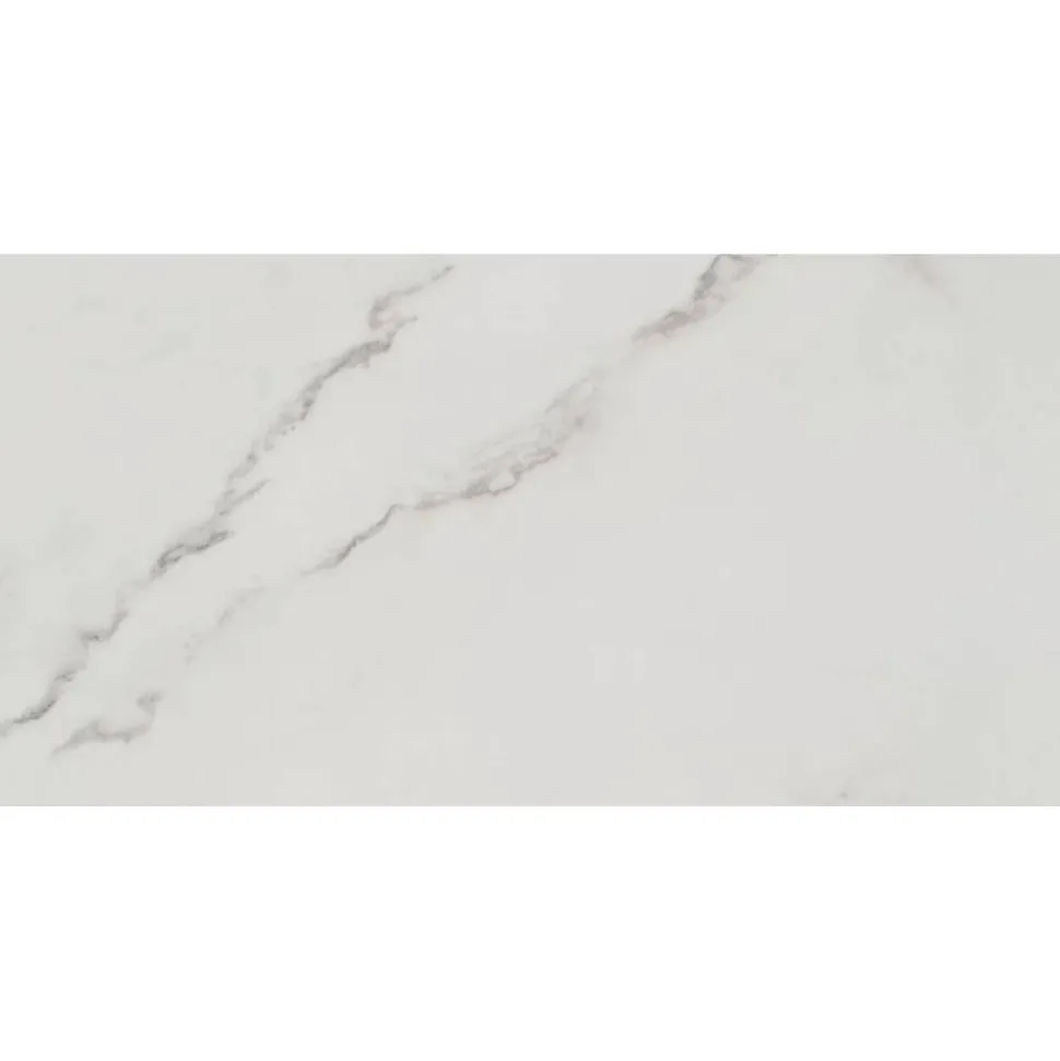Bodenfliese 'Fontana' Feinsteinzeug weiß glänzend 30 x 60 cm
