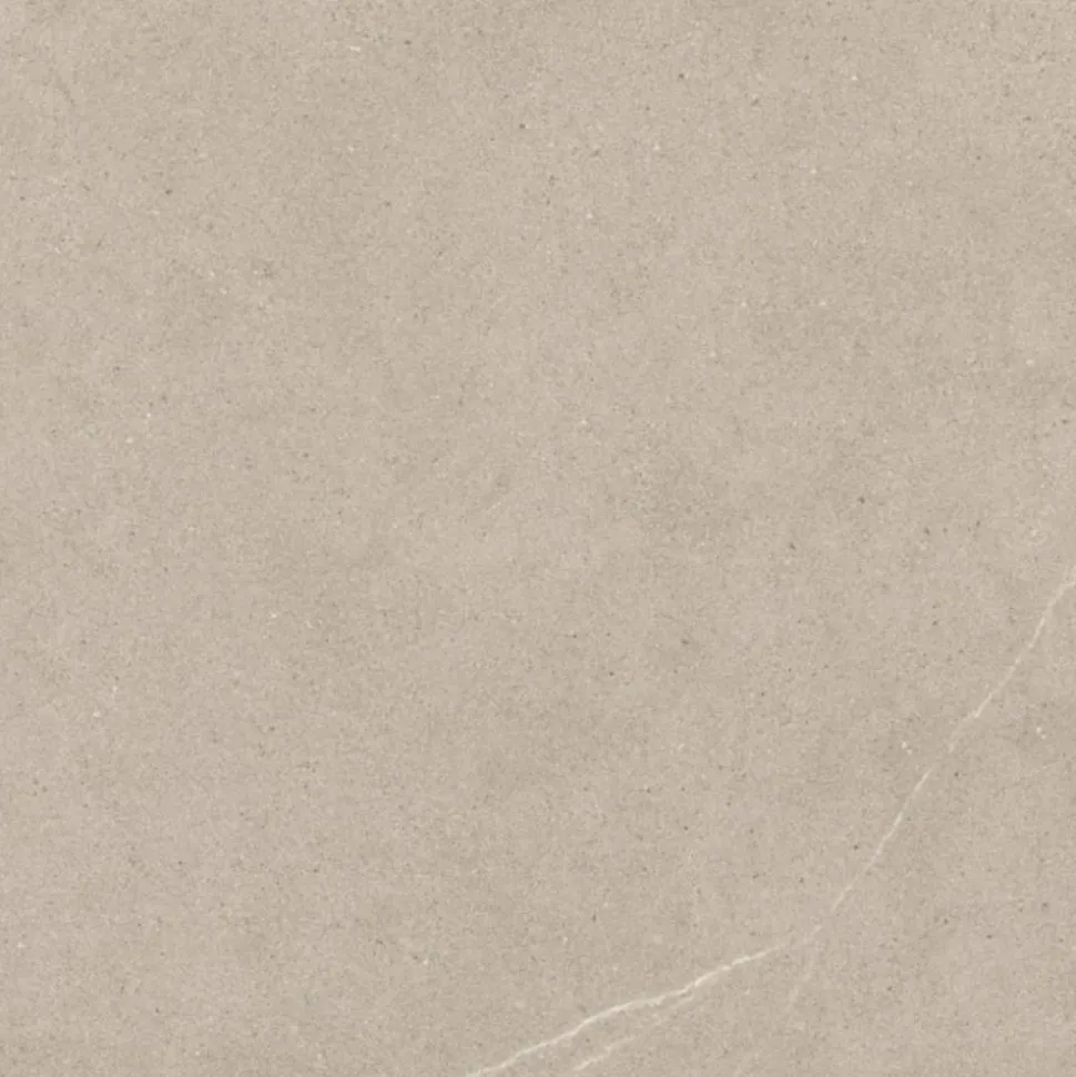 Bodenfliese 'Hardy' Feinsteinzeug beige-braun 60 x 60 cm