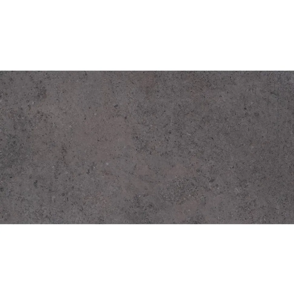 Bodenfliese 'Lims' anthrazit 60 x 120 cm
