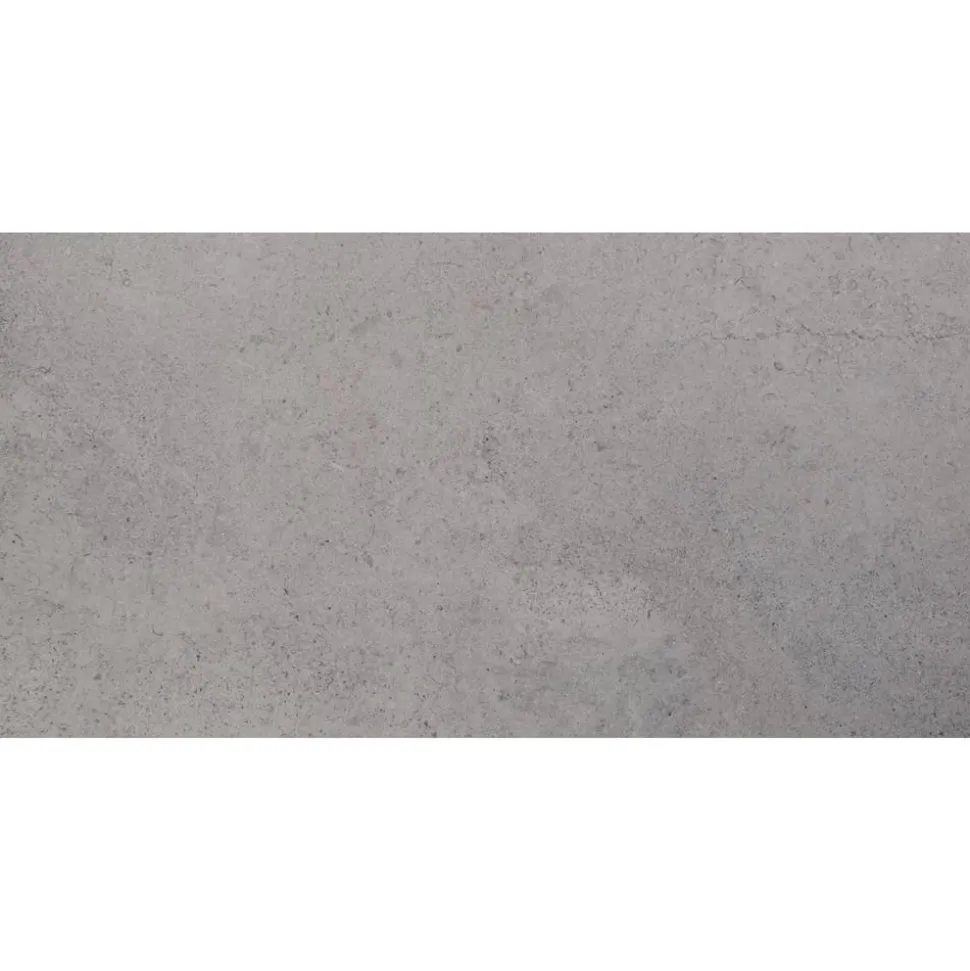 Bodenfliese 'Lims' grau 30 x 60 cm