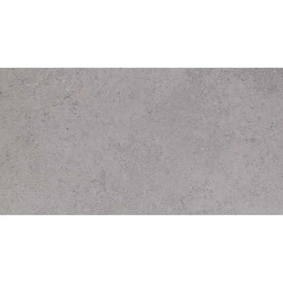 Bodenfliese 'Lims' grau 30 x 60 cm