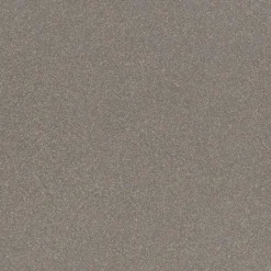 Bodenfliese 'Triton' Feinsteinzeug schwarz 30 x 30 cm