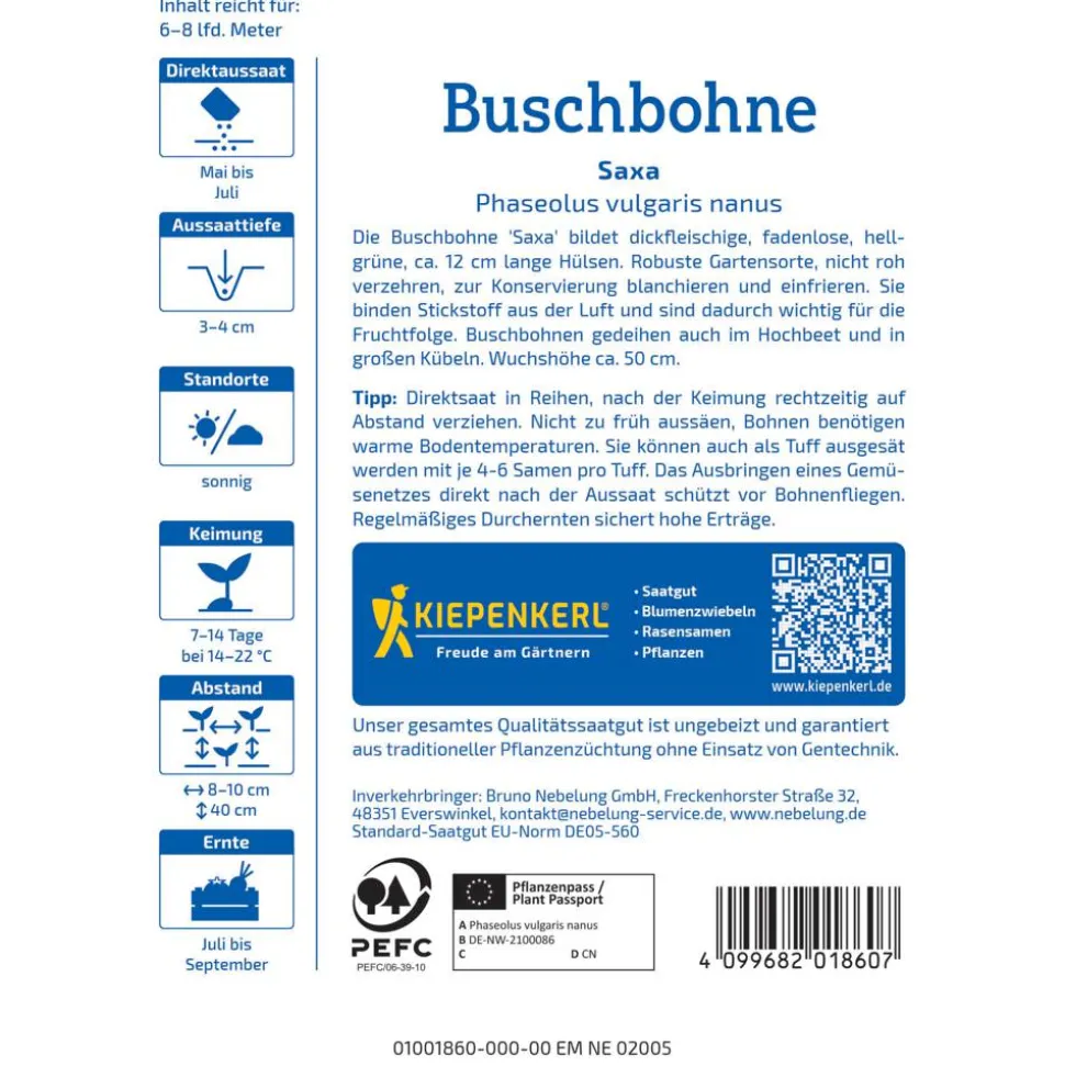Buschbohne 'Saxa'