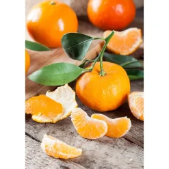 Calamondin-Orange 14 cm Topf