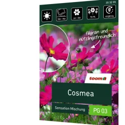 Cosmea 'Sensation Mischung'