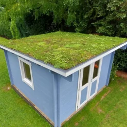 Dachbegrünung 32 m²