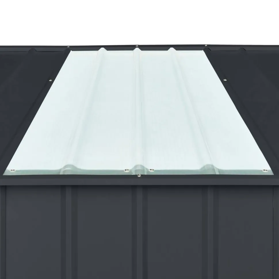 Dachpaneel 'Skylight 2' für Gerätehauser, 123 x 65,5 cm