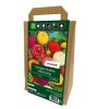 Dahlia Mix Tragetasche Farbe 1 Pompon Mischung
