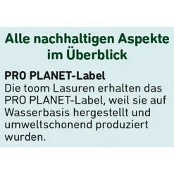 Dauerschutzlasur dunkelgrau 2,5 l