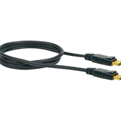 DisplayPort Anschlusskabel schwarz 2 m