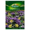 Duftblumen "Schokolade mit Sahne" 30 Stück