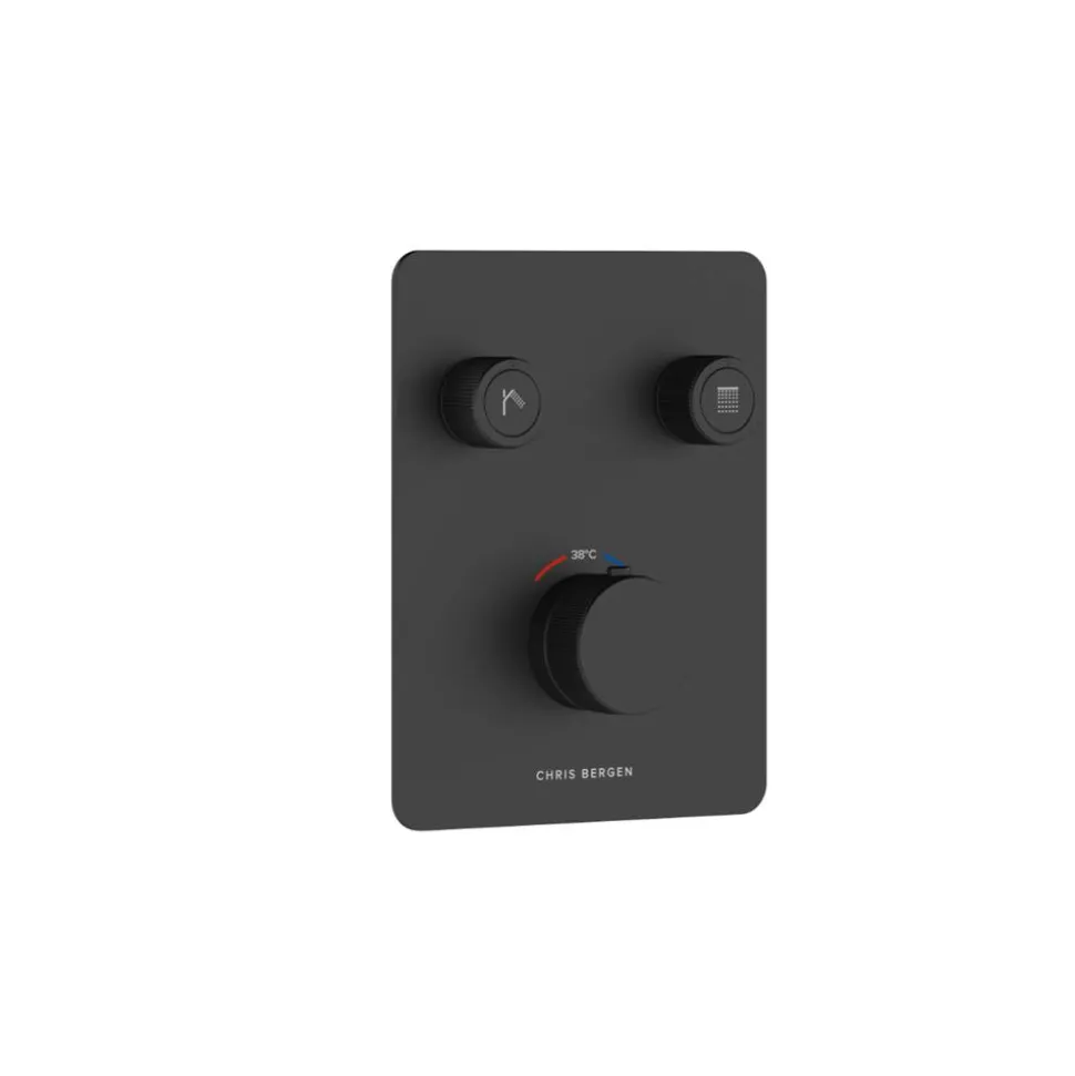 Duschthermostat 'Aquatronic' Unterputz schwarz matt 2 Ausgänge